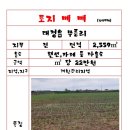 돌고래공인중개사사무소 이미지