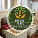 힐링엔젤스 - 양평군 개군로 181-7 | 힐링엔젤스