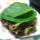 안씨족발 이미지