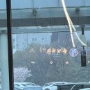 RR-363[중앙로]-상-64 | 봄 제주도 여행_부모님, 가족 단체 독채 숙소 추천 할머니 할아버지 모시고 가기 좋은 유채꽃 여행지...