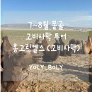백 암 문 고 | [올리볼리 여행 일기] 7~8월 몽골 고비사막 4박 5일 투어 Day2 - 홍고링엘스 (고비사막 사구) 찐 현실 후기