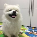 아지공간 이미지