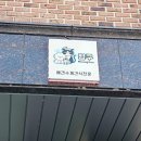 반려견 수제 간식 만들기 | 청주 애견 간식 멍쿠 반려견 수제간식 픽업 후기