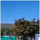 골프아카데미 | 잠실골프레슨 1:1 맞춤 추천 | 프라이빗골프아카데미 체험 후기