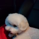 제이그루밍 이미지