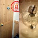 이대농장 이미지