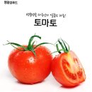 토마토 이미지