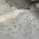 파도마을 삼냥이네 이미지