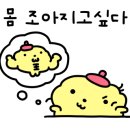 어셈블 짐 피트니스 이미지