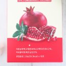 금농라이프케어 네이버블로그