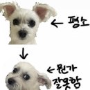 자은우체국 | 요즘 블로그전 루틴