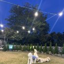 서귀포 애견동반카페 [이지카페] 강아지동반, 브런치 내돈내산후기