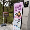 비밀이 실시간으로 발굴되는 곳? 공주 무령왕릉과 왕릉원 전시관 반값 할인부터 생생한 여행 후기까지