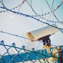 금방아 민박 캠핑장 이미지