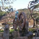 곰솔주유소 이미지