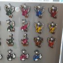 안동백조마을 이미지