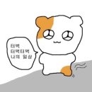 2025 일상 봄 올랑말랑
