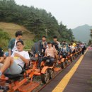 담양중학교 담양곡성타임스