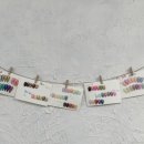 왕왕애견샵 이미지