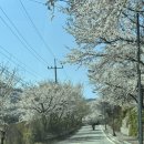 약목평생학습복지센터 이미지