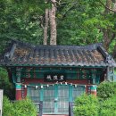평안한치길 티스토리