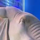 고구려호텔 이미지