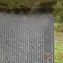 선영 이미지