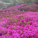 수리산역 이미지