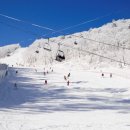 부영메디칼 이미지