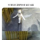 소빵언니
