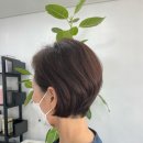헤어(HAIR).다올 이미지