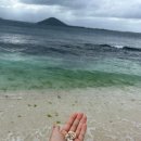 썸타는전기차 | 우도] 🏝️우도 왕복패스&전기차로 우도 완벽하게 즐기기-! (내돈내산 솔직후기/우도패스/우도패스 구매...