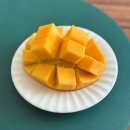 해녀언니네 | [제주 여행] 휴식과 여유의 제주 여행 - 마지막해녀, 올레길21코스, 365번 버스, 바베큐파티, 방파제 식당