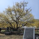 달전시목지 이미지