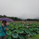 내포 용봉산에서 수암산까지-7.18 이미지