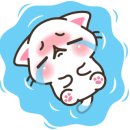 주인아 미용하고가 이미지