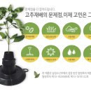 경북농업기술원 영양고추시험장 이미지