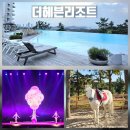 해상구조센터 화장실 | 경기도 대부도 숙소 아이와가볼만한곳 추천, 인피니트 수영장 더헤븐리조트 1박2일 여행