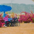 곽요양병원 네이버블로그