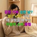 플라워 테라피(A) | 감정 기복 심한 날? '필코노미' 시대, 내 기분을 바꾸는 마법의 소비 꿀팁