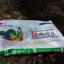 인선농장 네이버블로그