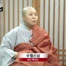 백석사 이미지