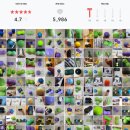 휘니스포츠 | 와두 휘니스포츠 마사지볼 PU마사지볼 스트레칭 마사지 와두볼 홈트 솔직후기