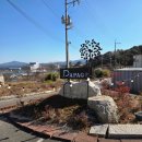 삼남 | 찐화덕피자 맛집 추천 울산 울주군 삼남 카페 파파고 후기