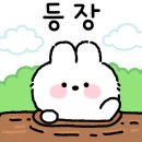 클린디치과의원 네이버블로그