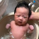 아기 욕조 고민 중이라면_ 온다베이비플러스 욕조 솔직 후기