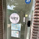 더타로 | 수원 행궁동 타로상담, 생각보다 더 편하게 다녀온 타로당 후기
