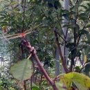 호연농장 이미지