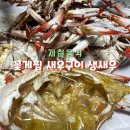 필부서비스 | [박상경새우/콧털삼촌] 꽃게찜 새우구이 생새우회 집에서 배 터지게 먹기!