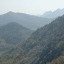 지용산인 이미지